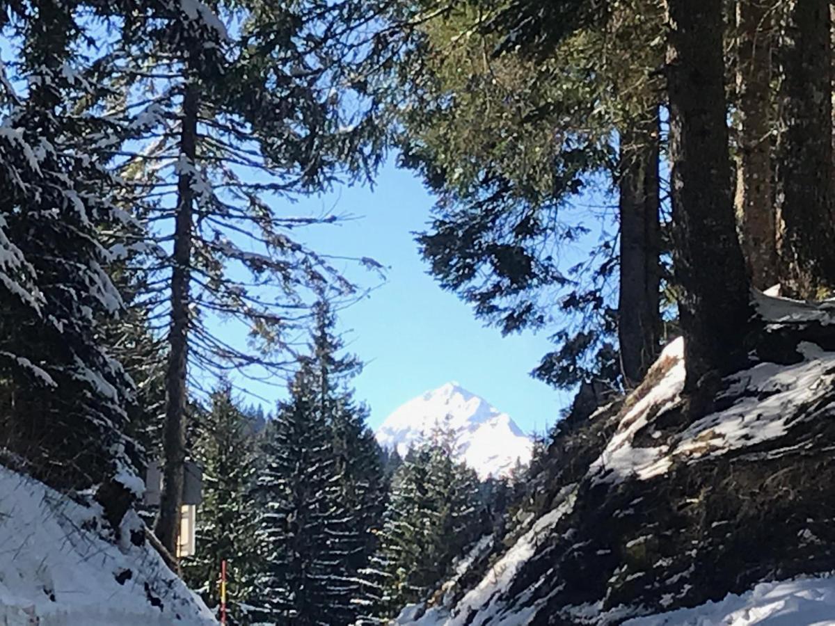 Chalet Stara Jelka Pokljuka Zgornje Gorje Kültér fotó