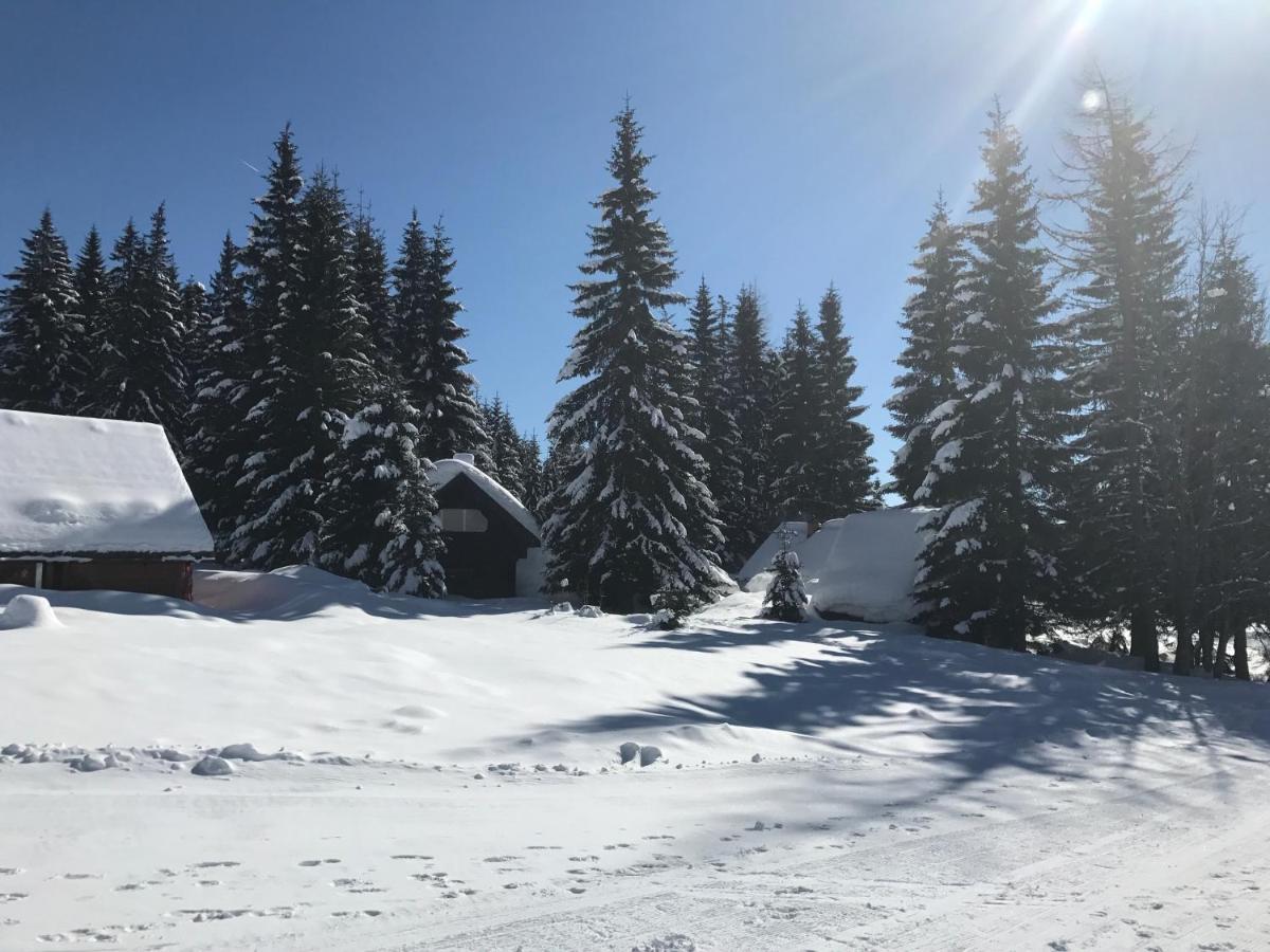 Chalet Stara Jelka Pokljuka Zgornje Gorje Kültér fotó