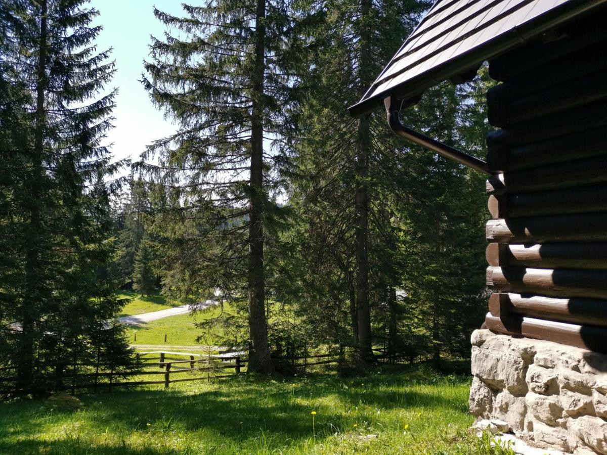 Chalet Stara Jelka Pokljuka Zgornje Gorje Kültér fotó