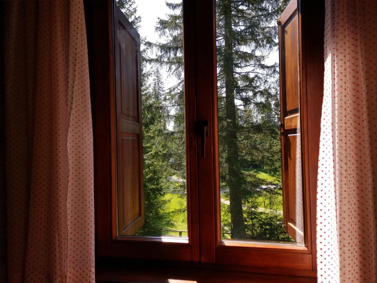 Chalet Stara Jelka Pokljuka Zgornje Gorje Kültér fotó