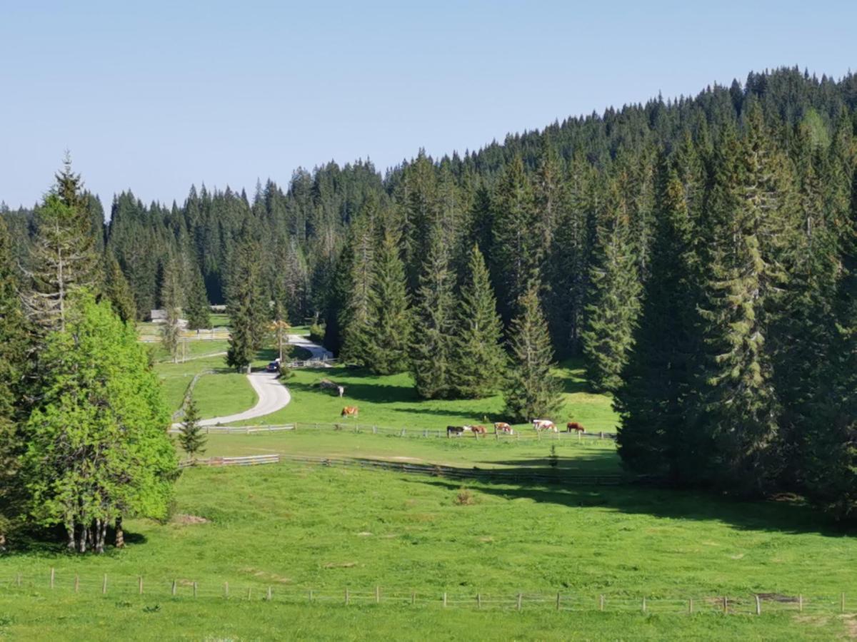 Chalet Stara Jelka Pokljuka Zgornje Gorje Kültér fotó
