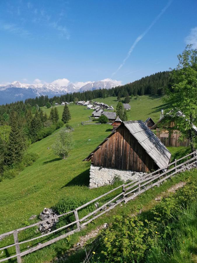 Chalet Stara Jelka Pokljuka Zgornje Gorje Kültér fotó