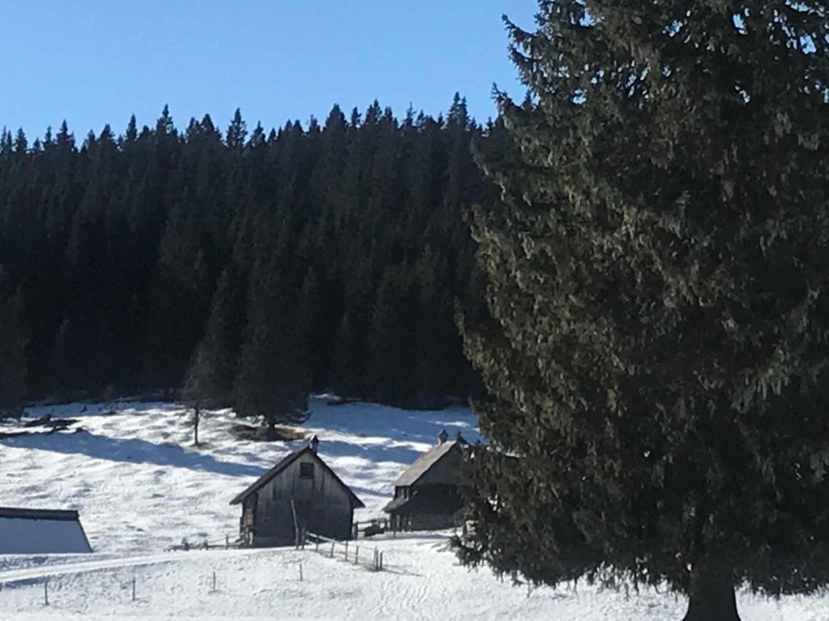 Chalet Stara Jelka Pokljuka Zgornje Gorje Kültér fotó
