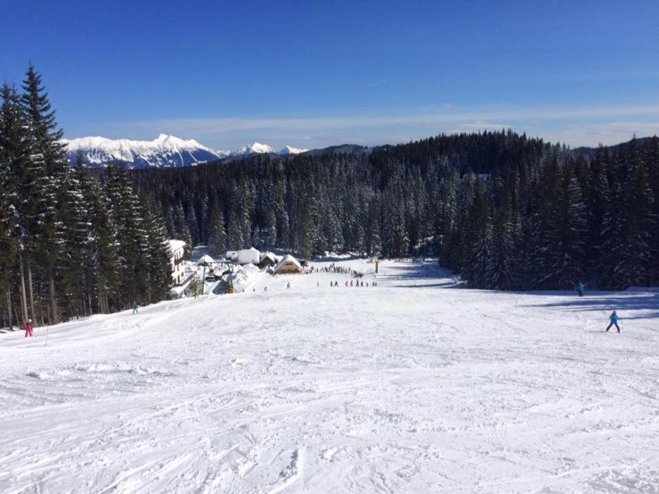 Chalet Stara Jelka Pokljuka Zgornje Gorje Kültér fotó