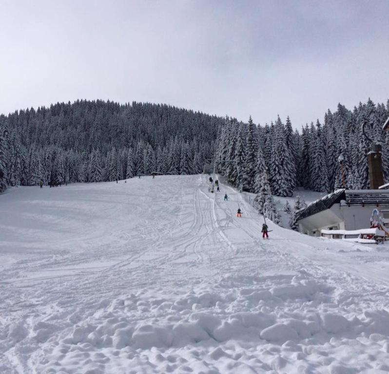 Chalet Stara Jelka Pokljuka Zgornje Gorje Kültér fotó