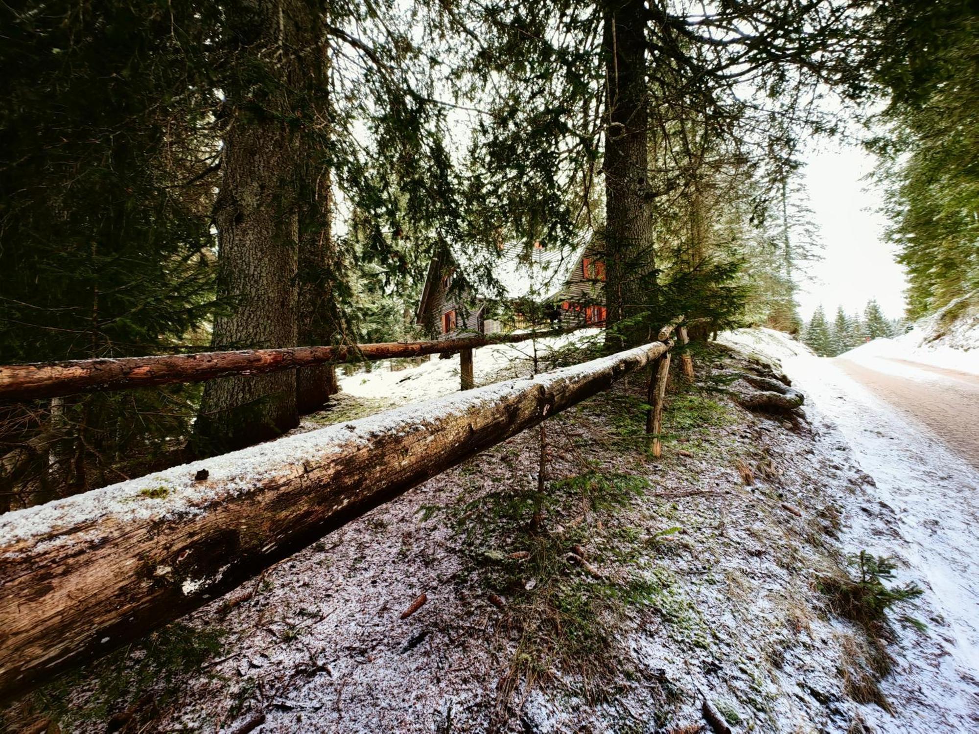Chalet Stara Jelka Pokljuka Zgornje Gorje Kültér fotó