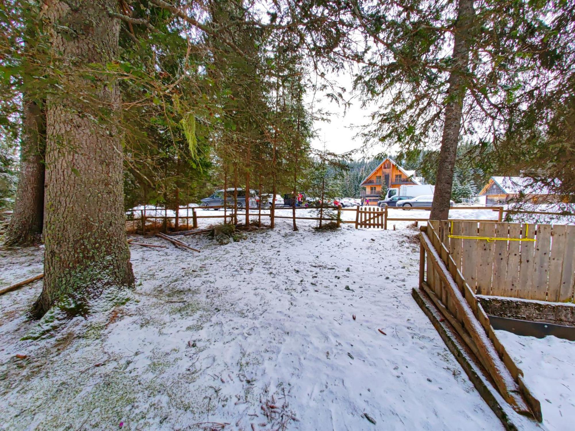 Chalet Stara Jelka Pokljuka Zgornje Gorje Kültér fotó