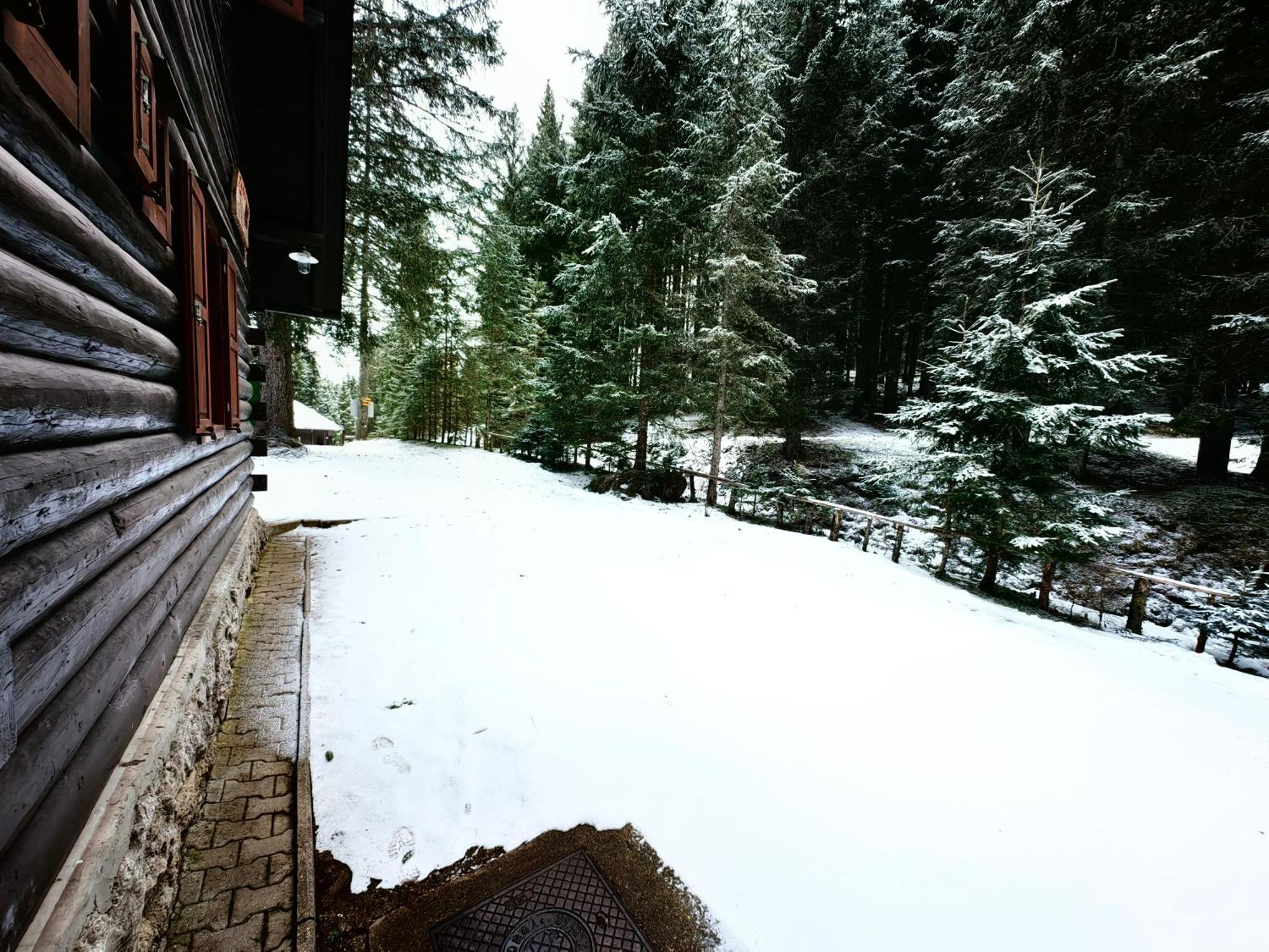 Chalet Stara Jelka Pokljuka Zgornje Gorje Kültér fotó