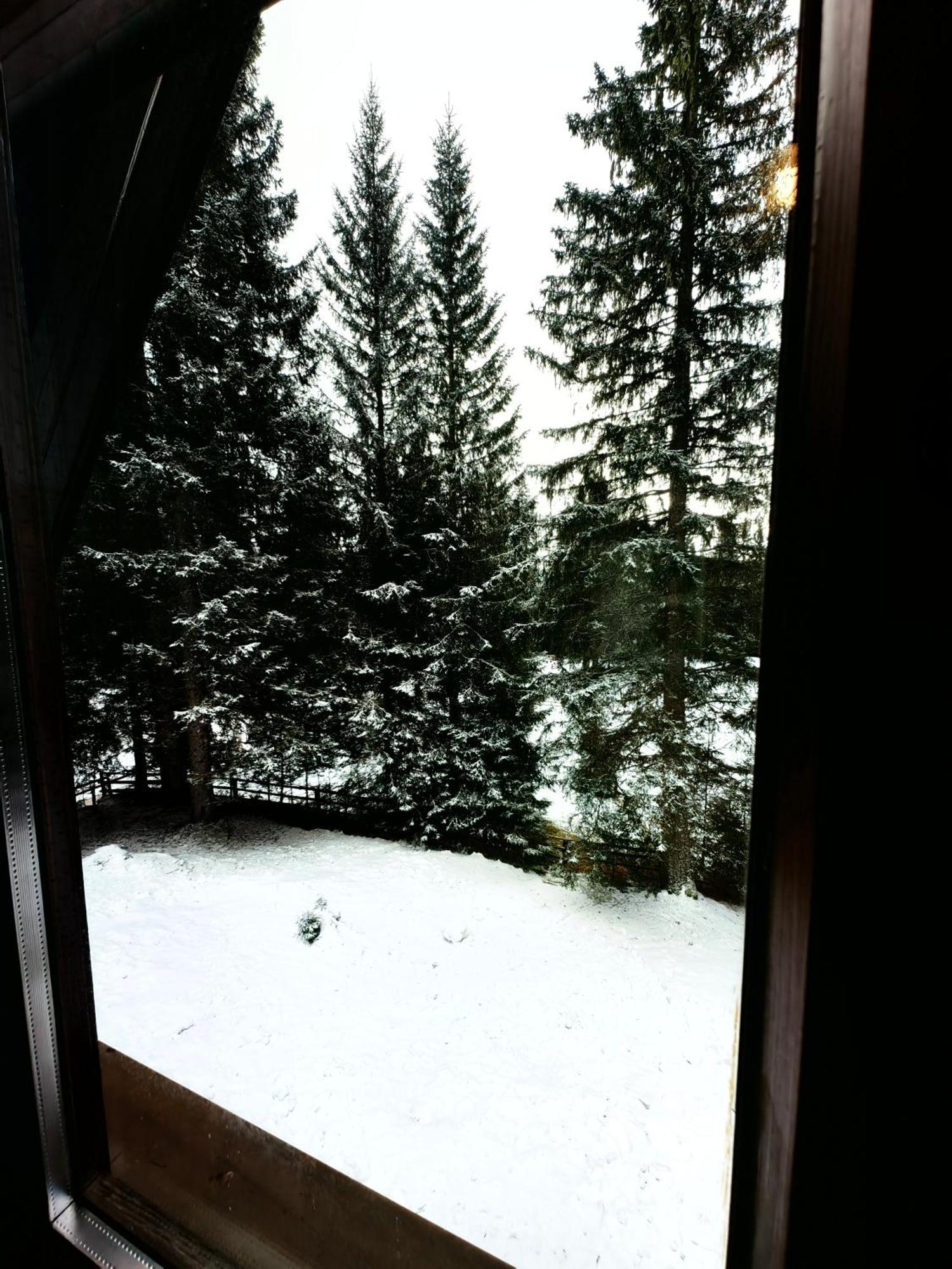 Chalet Stara Jelka Pokljuka Zgornje Gorje Kültér fotó