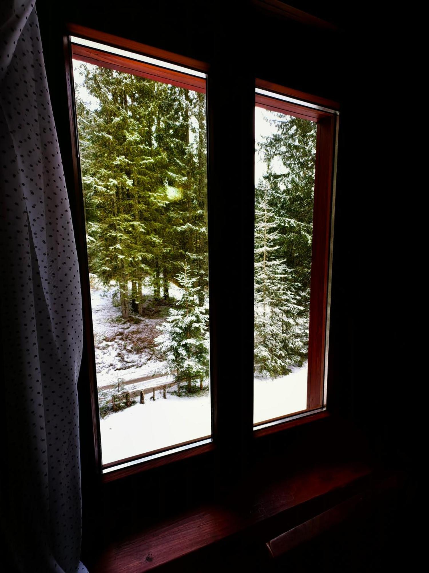 Chalet Stara Jelka Pokljuka Zgornje Gorje Kültér fotó